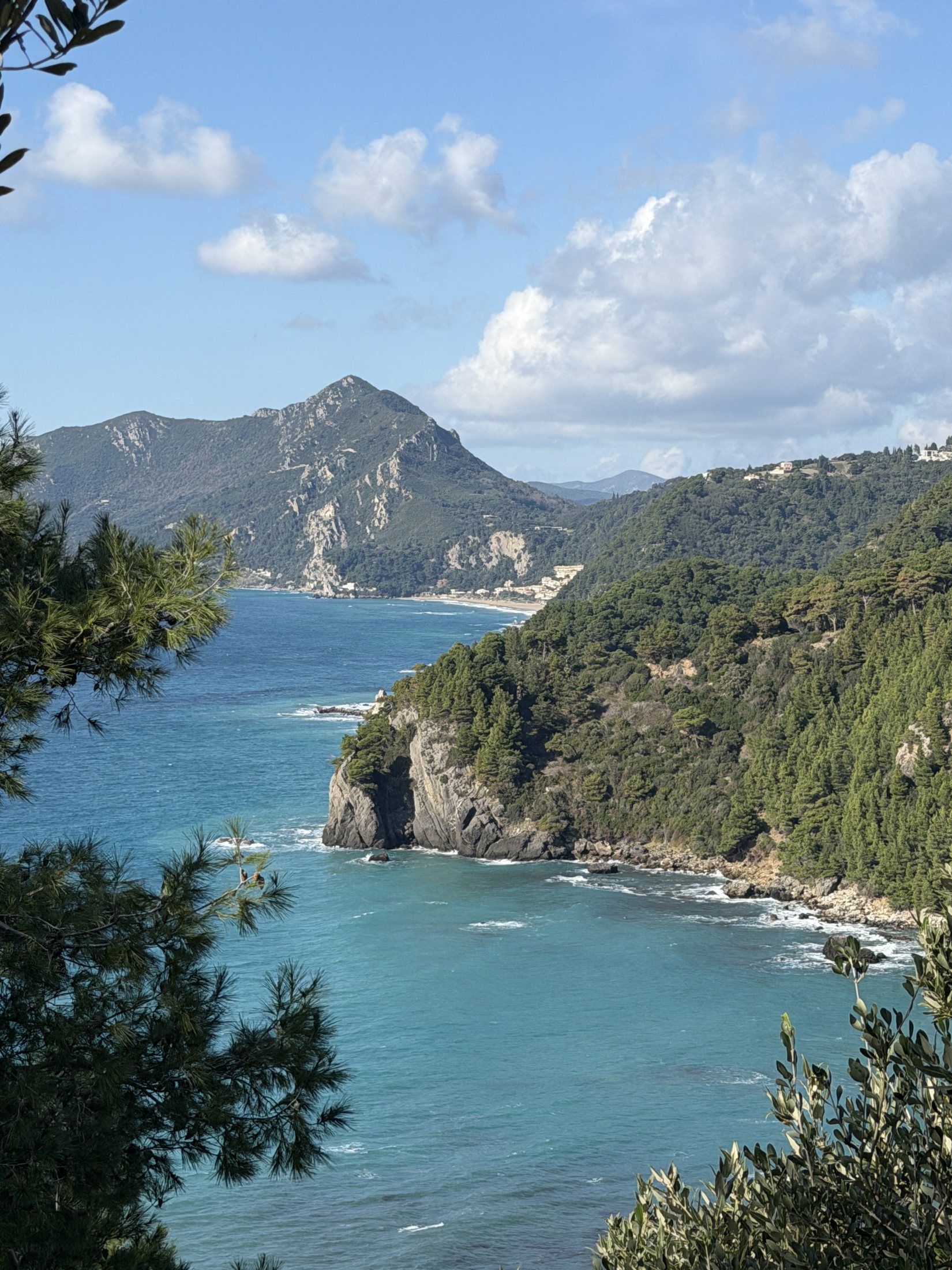 A green Greek coastline framed by trees