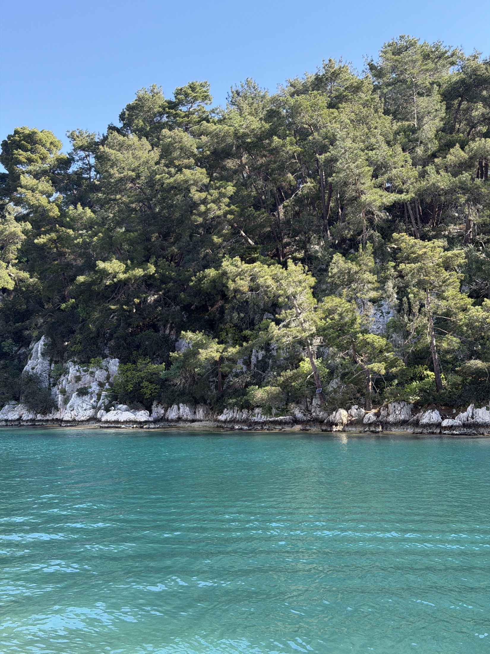 Turquoise water beside a forested Greek shoreline